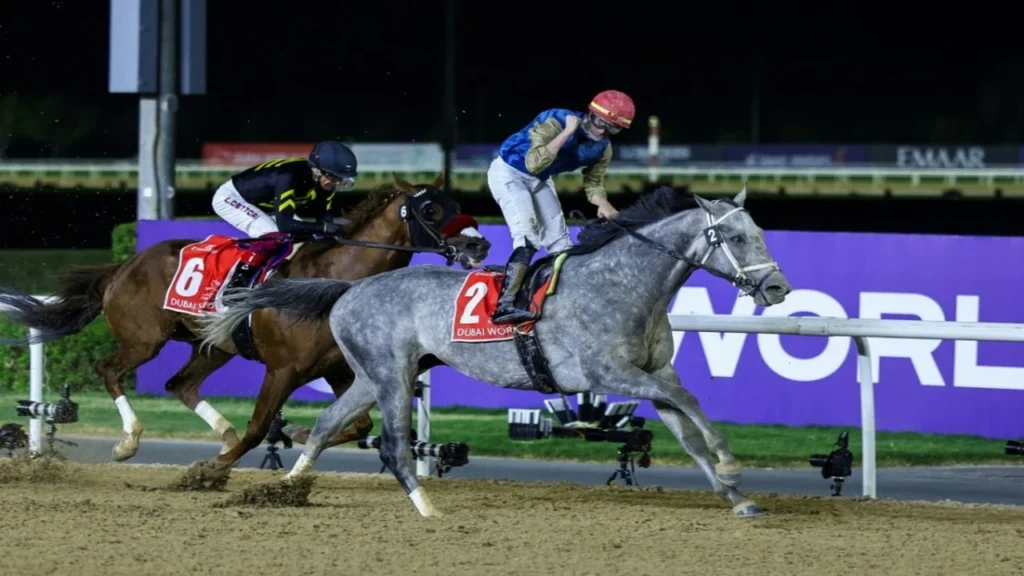 369 خيلاً تتنافس.. انطلاق بطولة أبوظبي الدولية لجمال الخيل العربية بمشاركة عالمية واسعة